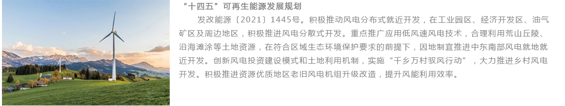 "十四五”可再生能源发展规划
