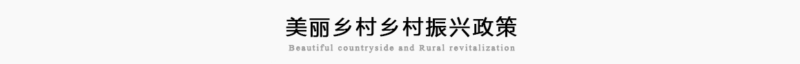 美丽乡村乡村振兴政策