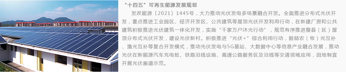 “十四五”可再生能源发展规划，光伏
